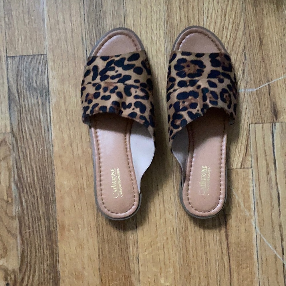 Cheetah Print slides